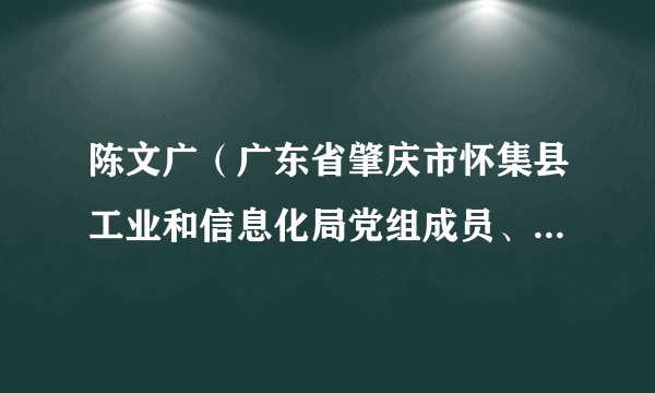 陈文广（广东省肇庆市怀集县工业和信息化局党组成员、总工程师）