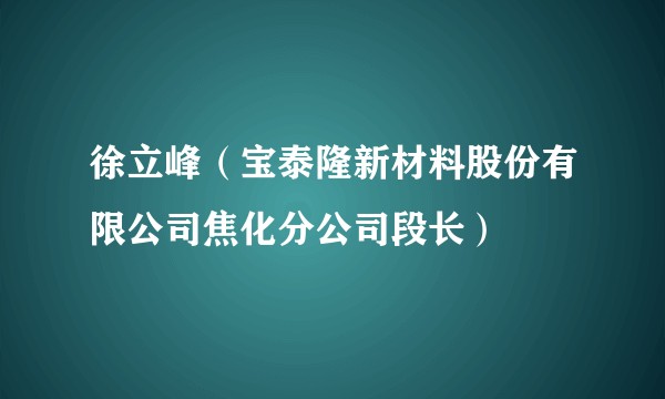 徐立峰（宝泰隆新材料股份有限公司焦化分公司段长）