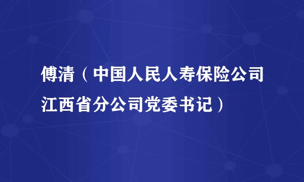 傅清(中国人民人寿保险公司江西省分公司党委书记)