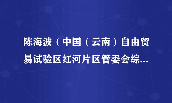 陈海波（中国（云南）自由贸易试验区红河片区管委会综合协调局局长）