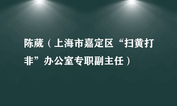 陈葳（上海市嘉定区“扫黄打非”办公室专职副主任）