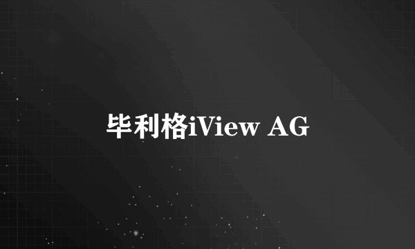 毕利格iView AG