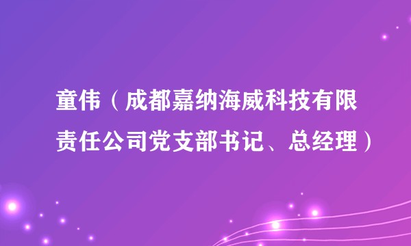 童伟（成都嘉纳海威科技有限责任公司党支部书记、总经理）