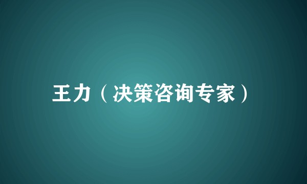 王力（决策咨询专家）
