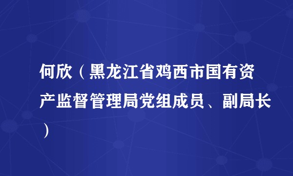 何欣（黑龙江省鸡西市国有资产监督管理局党组成员、副局长）