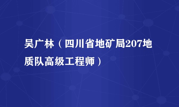 吴广林（四川省地矿局207地质队高级工程师）