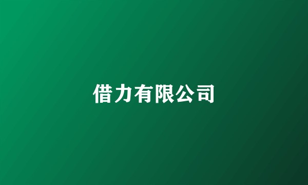 借力有限公司