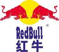 红牛竞技飞行世界巡回赛