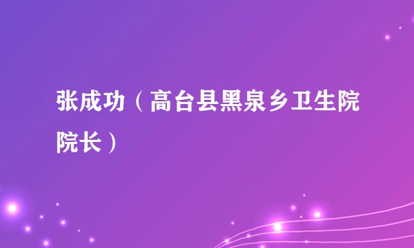 张成功（高台县黑泉乡卫生院院长）