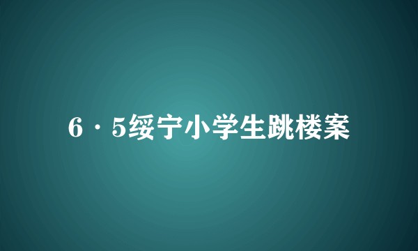 6·5绥宁小学生跳楼案