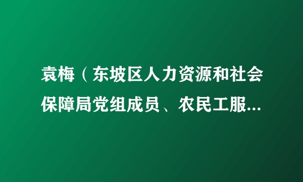 袁梅（东坡区人力资源和社会保障局党组成员、农民工服务中心主任）