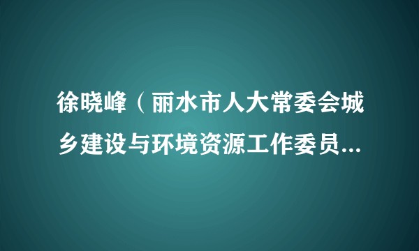 徐晓峰（丽水市人大常委会城乡建设与环境资源工作委员会原副主任）
