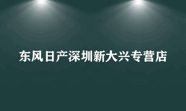 东风日产深圳新大兴专营店