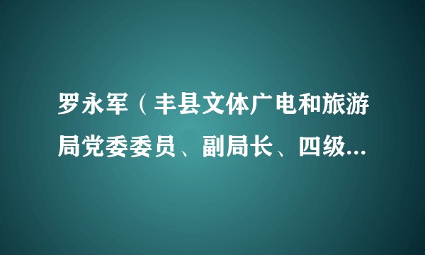 罗永军（丰县文体广电和旅游局党委委员、副局长、四级主任科员）