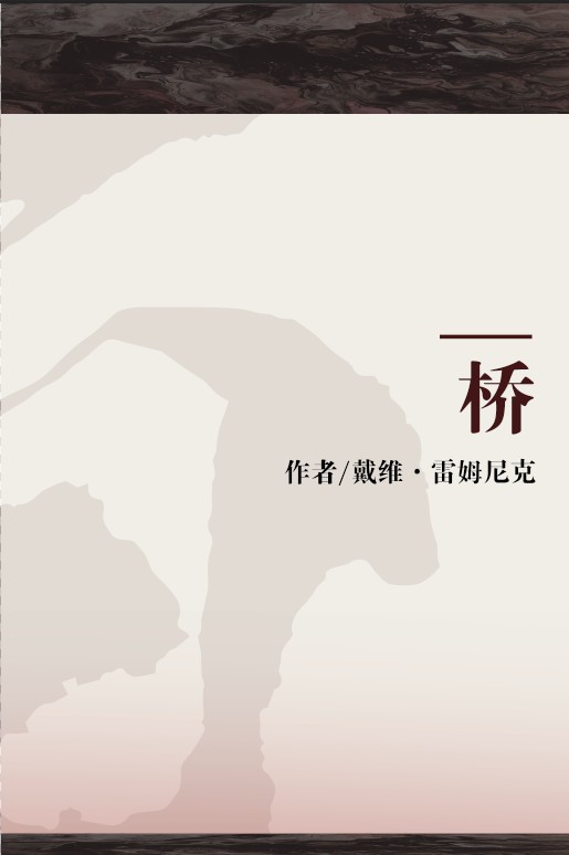桥（2011年中信出版社出版的图书）