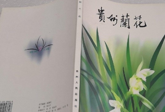 贵州兰花