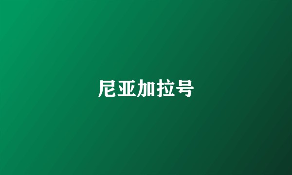 尼亚加拉号