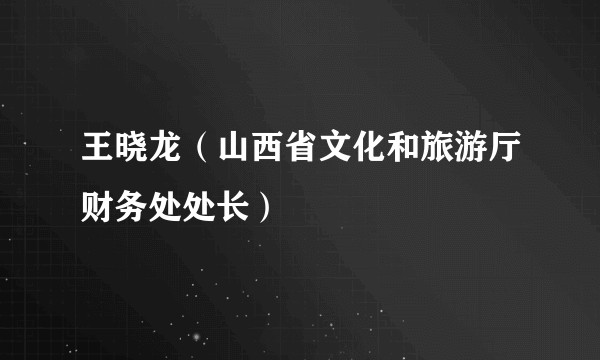 王晓龙（山西省文化和旅游厅财务处处长）
