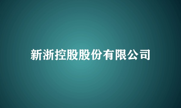 新浙控股股份有限公司