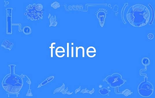 feline（英语单词）
