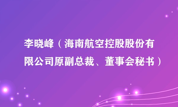 李晓峰（海南航空控股股份有限公司原副总裁、董事会秘书）