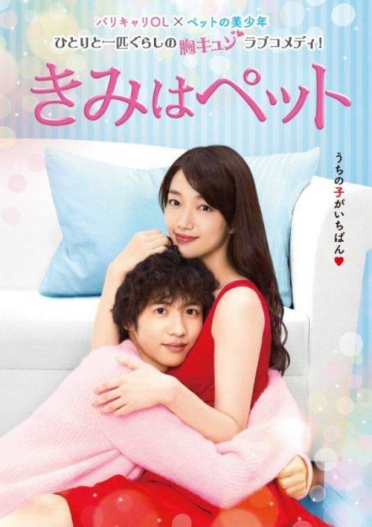 宠物情人(日本2017年入山法子、志尊淳主演电视剧)