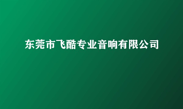 东莞市飞酷专业音响有限公司