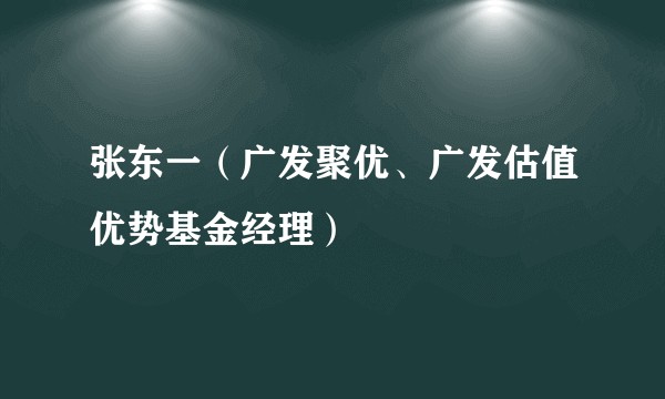 张东一（广发聚优、广发估值优势基金经理）