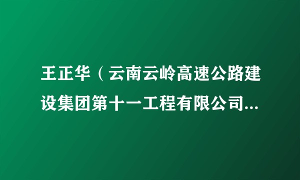 王正华(云南云岭高速公路建设集团第十一工程有限公司党委委员、总经理)
