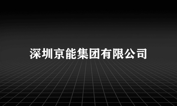 深圳京能集团有限公司