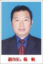 杨枫(吉林省四平市政协原主席)