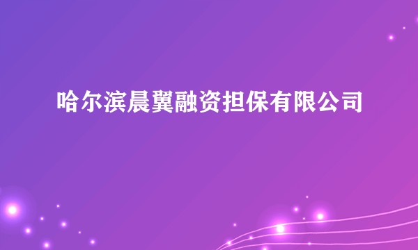 哈尔滨晨翼融资担保有限公司