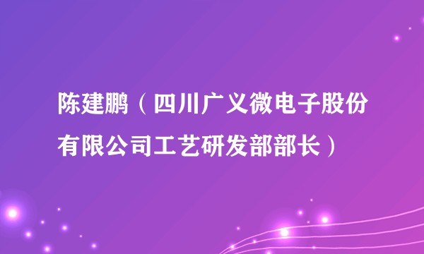 陈建鹏（四川广义微电子股份有限公司工艺研发部部长）