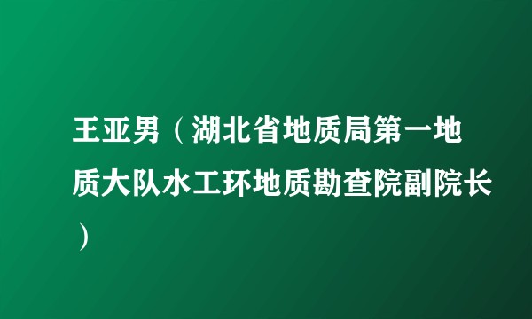 王亚男（湖北省地质局第一地质大队水工环地质勘查院副院长）