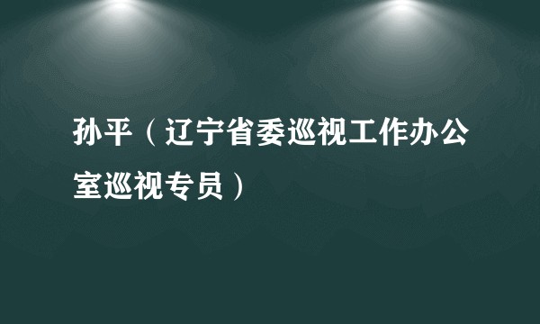 孙平（辽宁省委巡视工作办公室巡视专员）