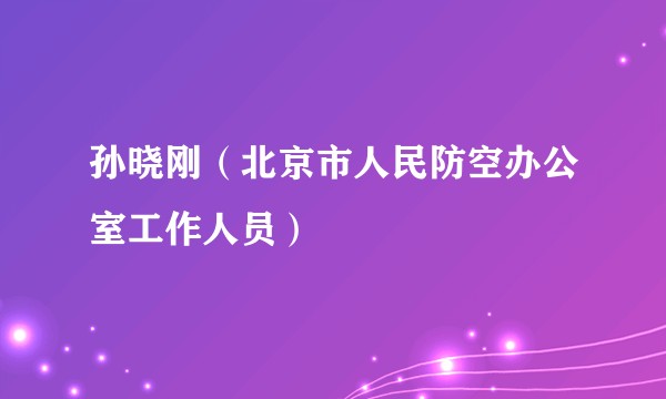 孙晓刚（北京市人民防空办公室工作人员）