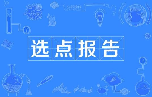 选点报告