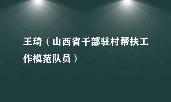 王琦（山西省干部驻村帮扶工作模范队员）