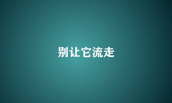 别让它流走