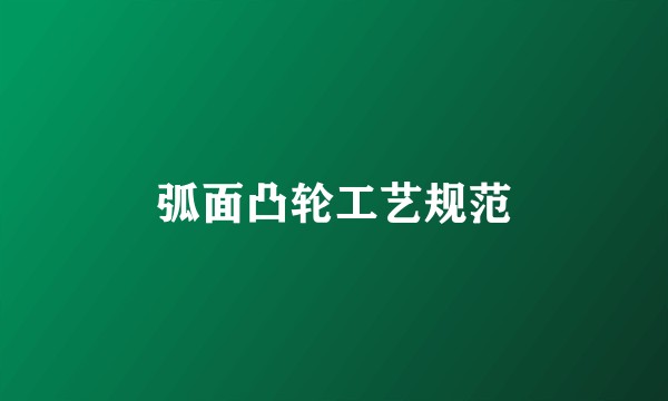 弧面凸轮工艺规范