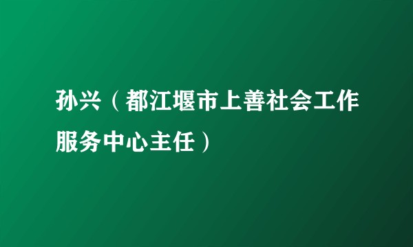 孙兴（都江堰市上善社会工作服务中心主任）