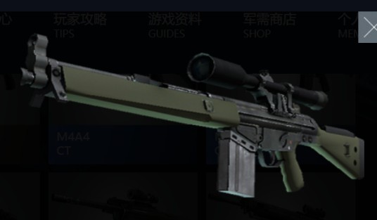 G3SG1（游戏《反恐精英》中步枪）