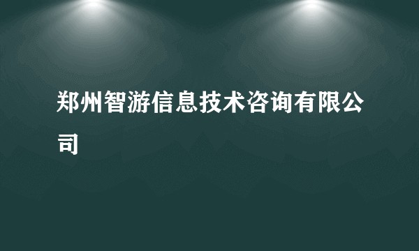 郑州智游信息技术咨询有限公司