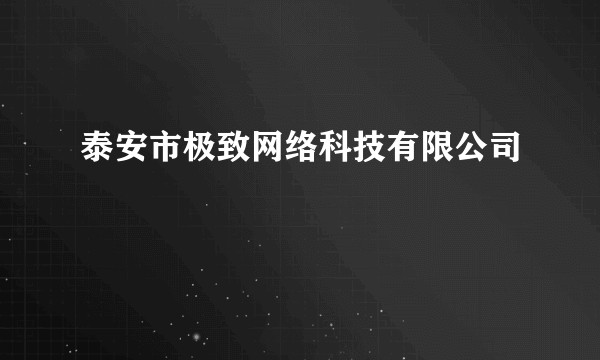 泰安市极致网络科技有限公司