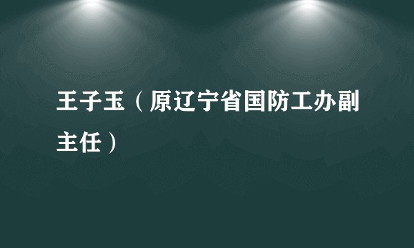 王子玉（原辽宁省国防工办副主任）