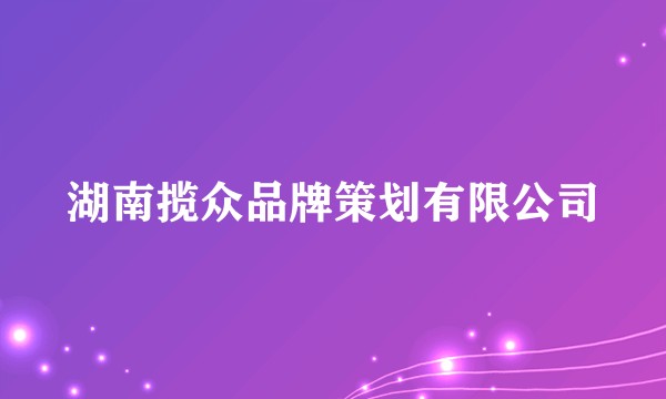 湖南揽众品牌策划有限公司