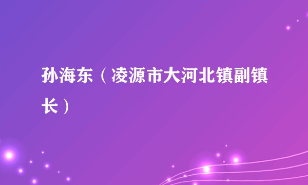 孙海东（凌源市大河北镇副镇长）
