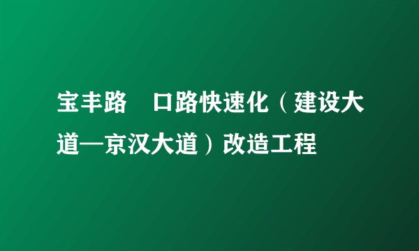 宝丰路硚口路快速化（建设大道—京汉大道）改造工程