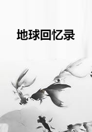 地球回忆录（南江仙人创作的网络小说）