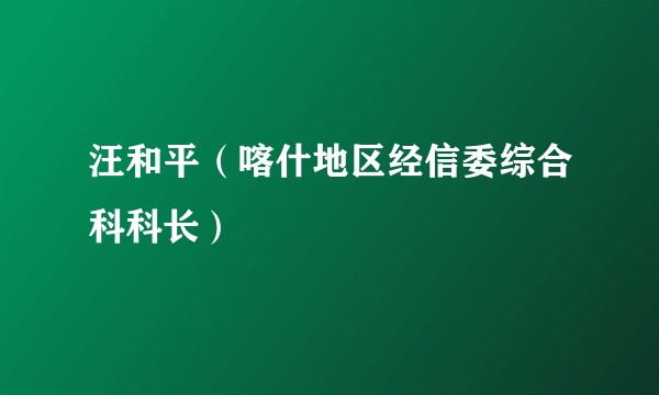 汪和平（喀什地区经信委综合科科长）